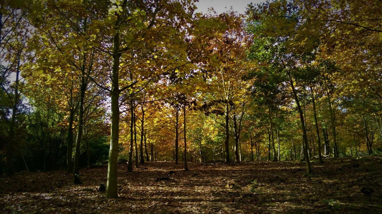 Albergue Mandoia Aterpetxea Arantzazu Buitenkant foto